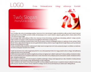 tworzenie stron warszawa, Lody